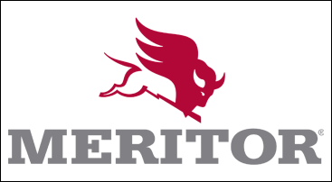 MERİTÖR REVİZYON